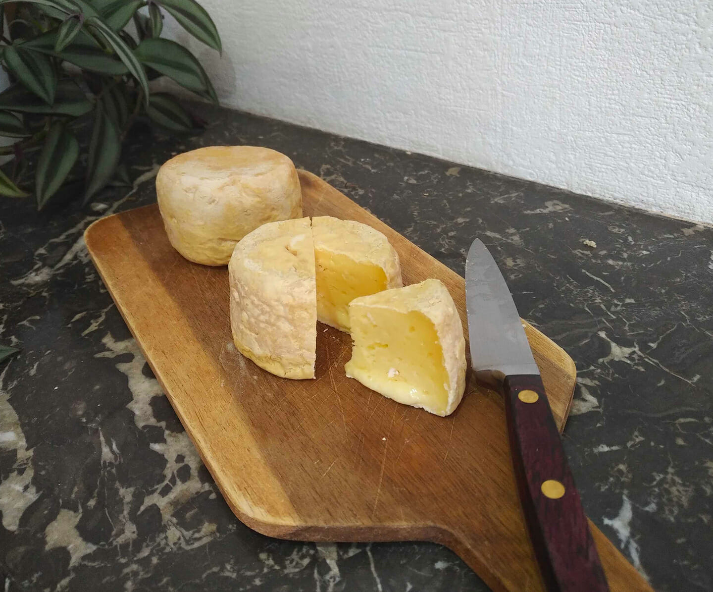 Petite cave à fromages II – Ma Cuisine Tupp