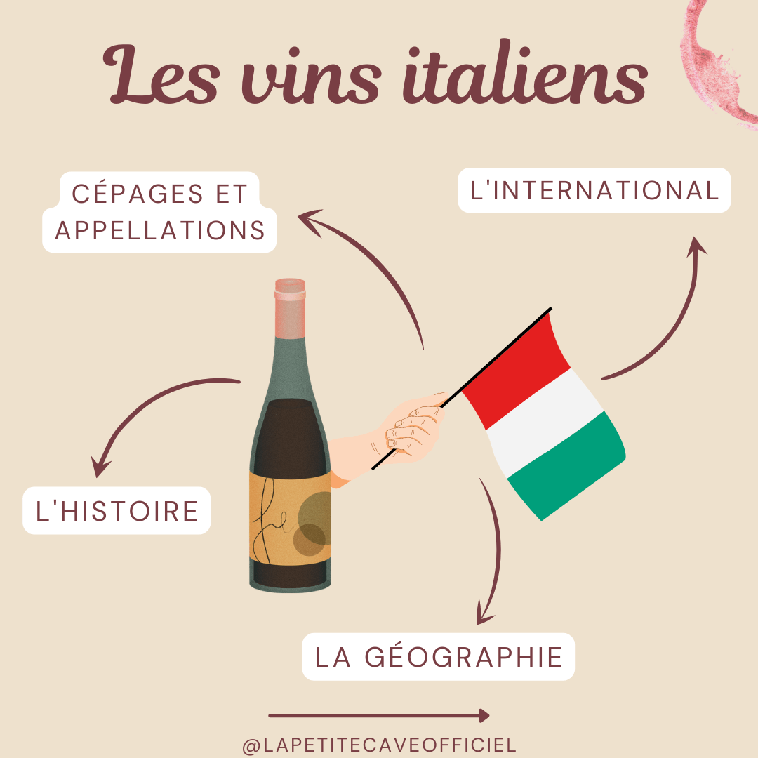 4 clés pour comprendre les vins italiens 🇮🇹 - La Petite Cave