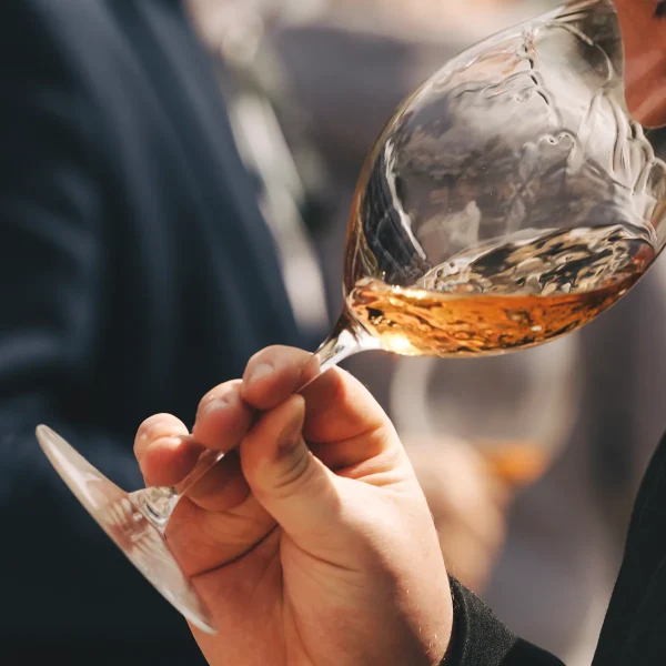 dégustation vin orange