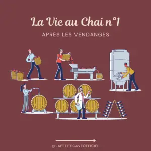 Vie du Chai : Après les Vendanges