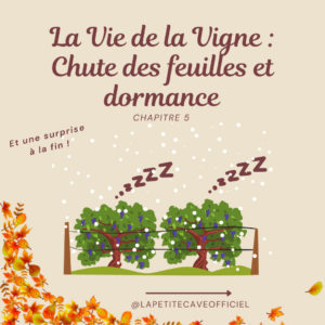 Vie de la Vigne 5