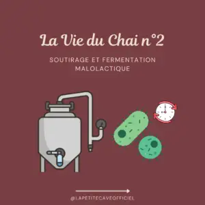 Vie du Chai 2