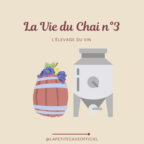Vie du Chai : élevage du vin