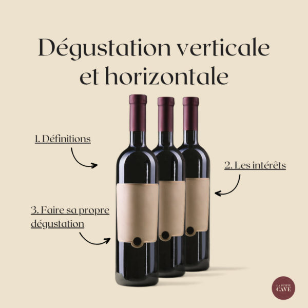 Dégustation horizontale et verticale vin