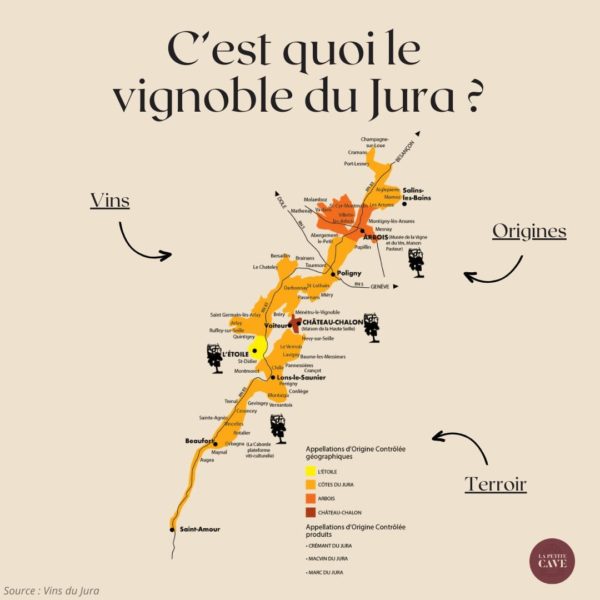 Le vignoble du Jura, ses caractéristiques, son terroir, ses vins de paille, vins jaunes, clavelin et crémant du Jura.