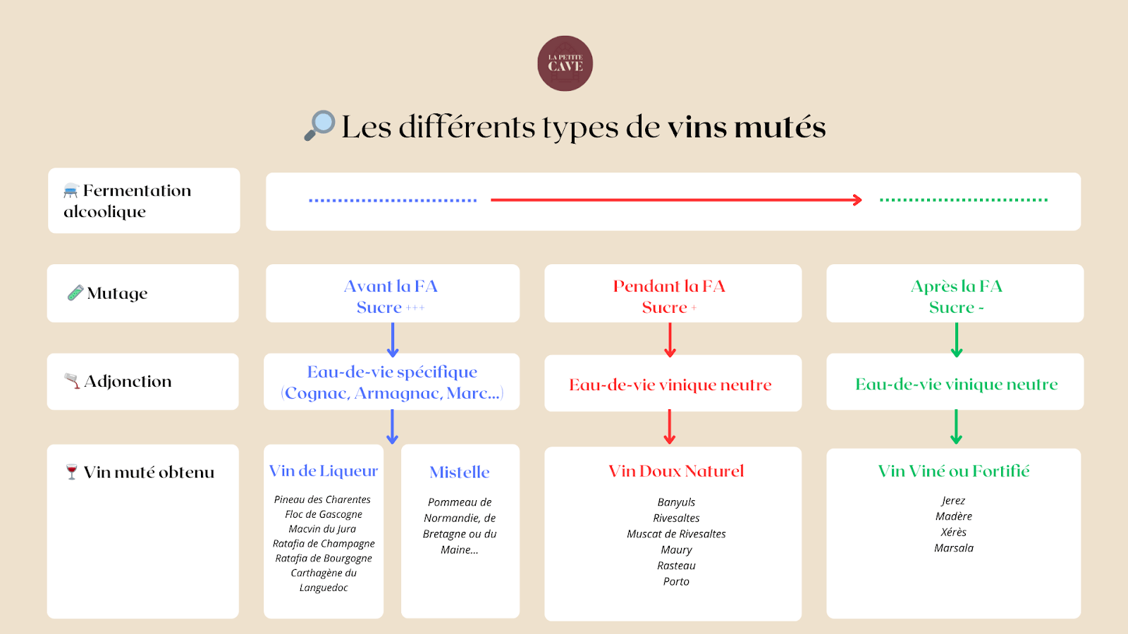 Que signifie vin de liqueur : les différents types de vins mutés