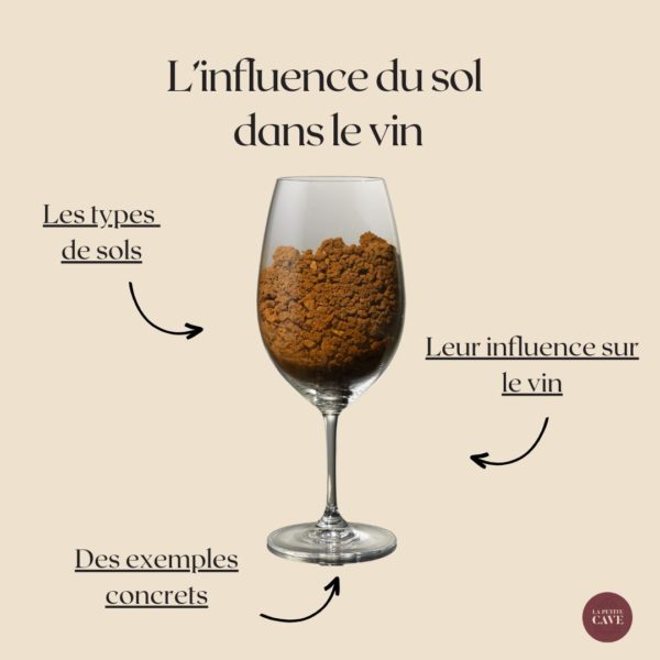 🍷 L’influence du sol dans le vin