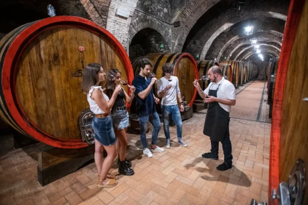 Visite des caves d'un vignoble à Montepulciano