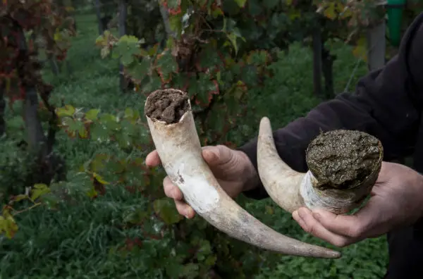 histoire de la biodynamie