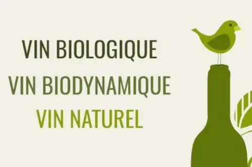 vin biodynamique