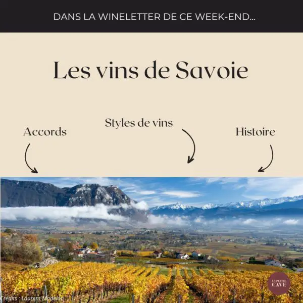 ⛰️ A la découverte des vins de Savoie