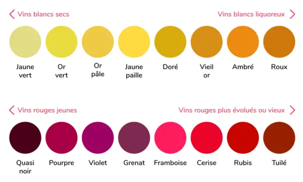 Comment décrire la robe d'un vin ?