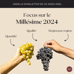 🌀 Quelle qualité pour les vendanges 2024 ?