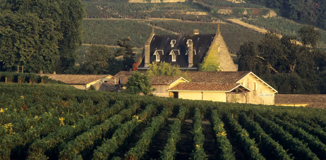 Lussac Saint-Emilion