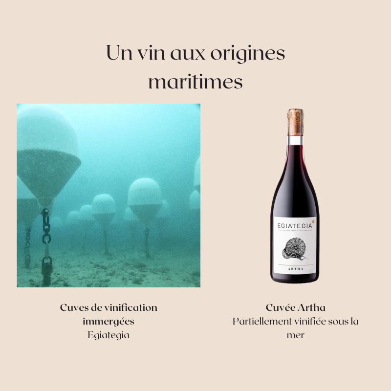 Cuvée Artha vin immergé