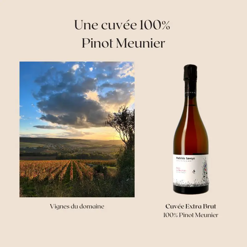 Mathilde Savoye Pinot Meunier