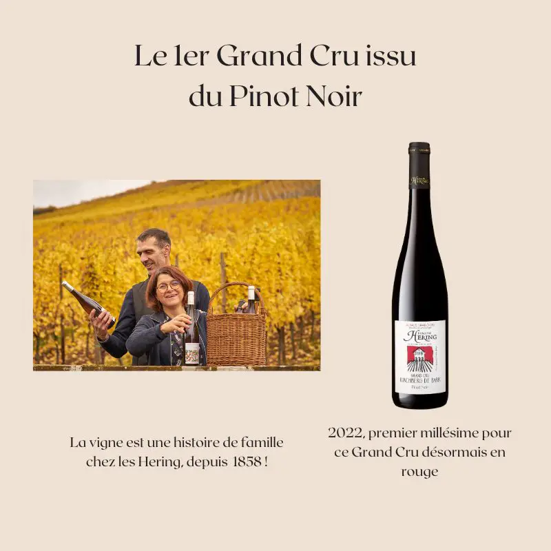 Alsace Grand Cru Pinot Noir Hering