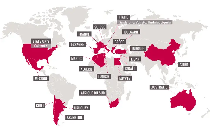 Carte du Grenache dans le monde