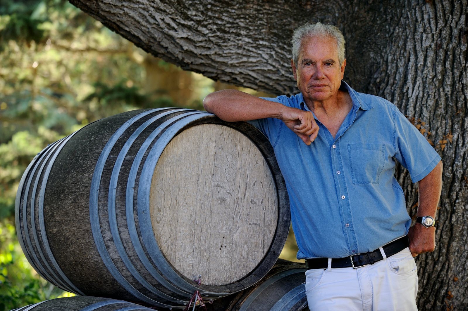 Grignan les Adhémar viticulture