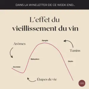 ⏳ Le vieillissement du vin