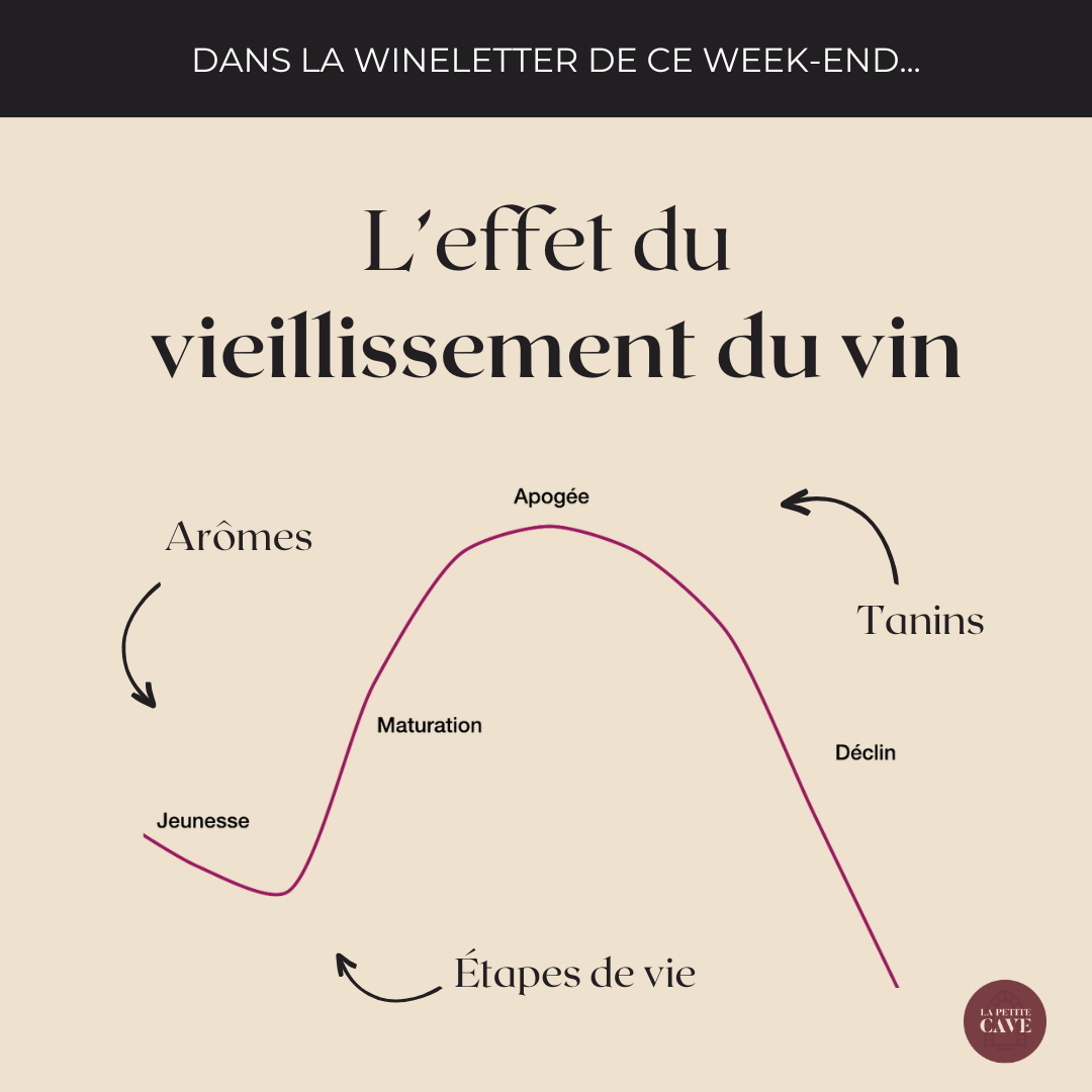 Le Vieillissement Du Vin