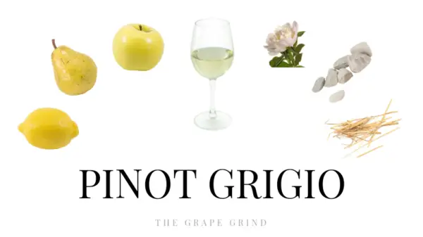 Arômes du Pinot Grigio