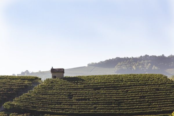 Barolo et ses brumes