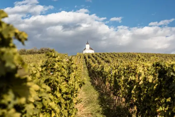 Vin tokaji