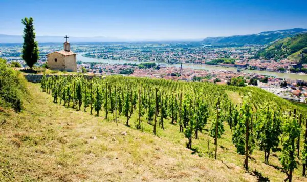 Vallée du Rhône vignoble