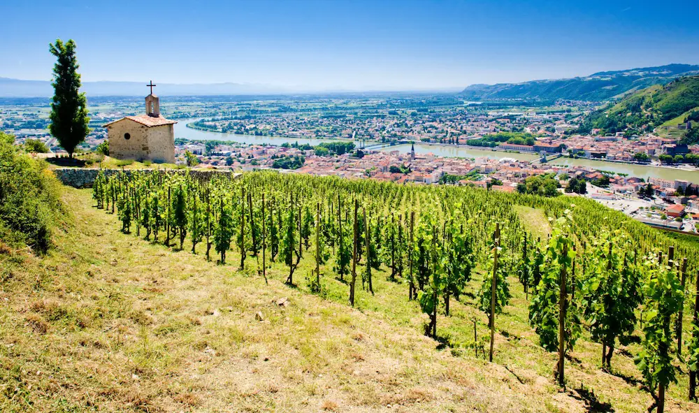 Vallée du Rhône vignobla