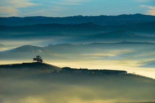 nebbiolo histoire