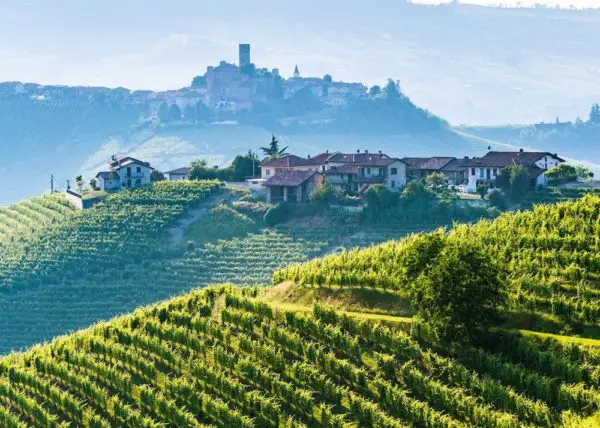 nebbiolo tourisme