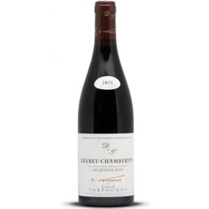 Vin rouge et raclette : Gevrey Chambertin