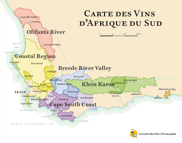 vins afrique du sud cartes