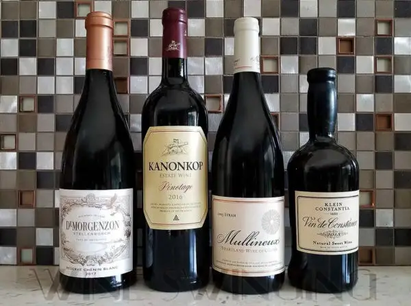 vins afrique du sud domaines emblématiques