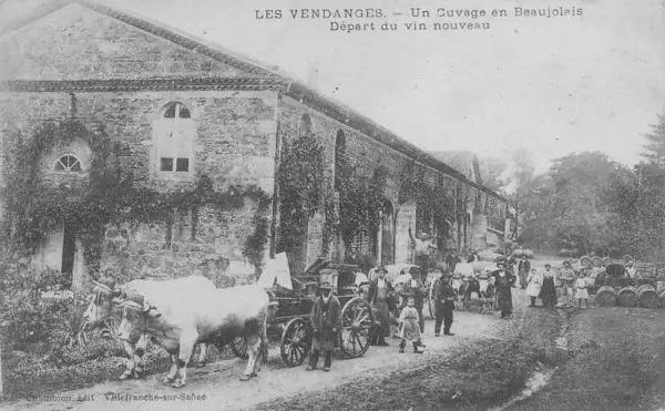 Beaujolais histoire