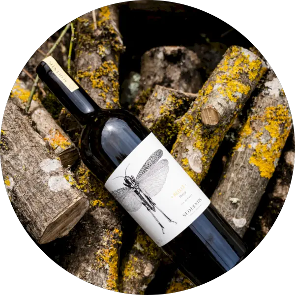 Box de vin mensuelle La Petite Cave