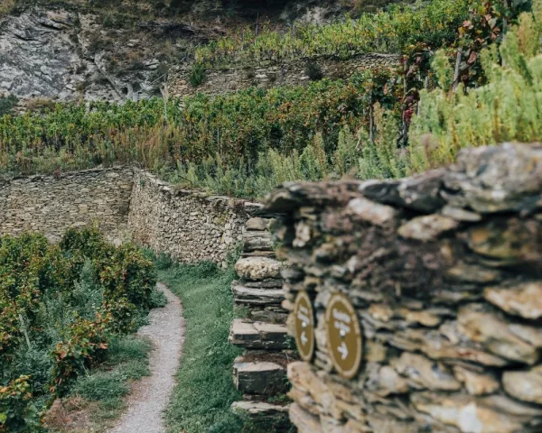 Histoire Vins suisse