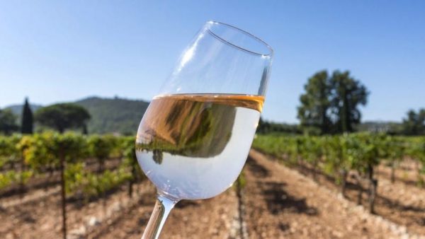 type de rosé vin gris