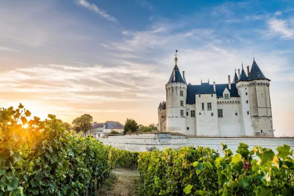 Vins pays de la Loire