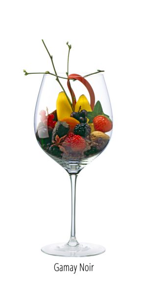 cépage gamay arômes