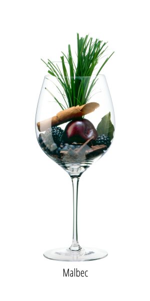 cépage malbec aromes