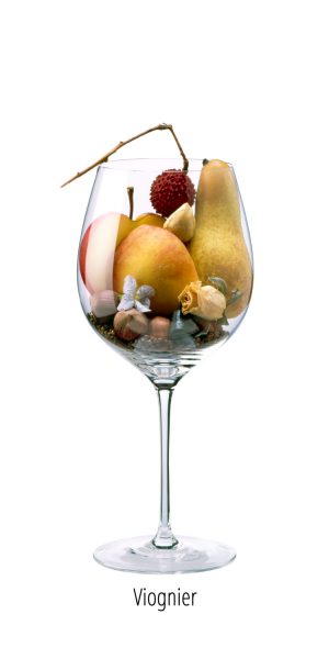 cépage viognier arômes