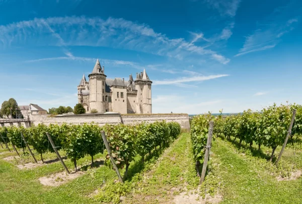 cépage chenin loire