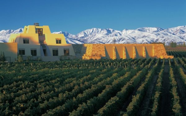 cépage malbec argentine
