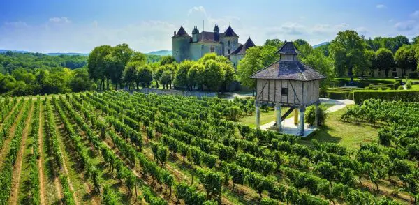 cépage malbec à Cahors