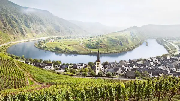 Région Pinot Noir Allemagne