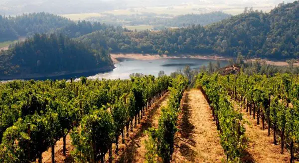 Région Pinot Noir Californie