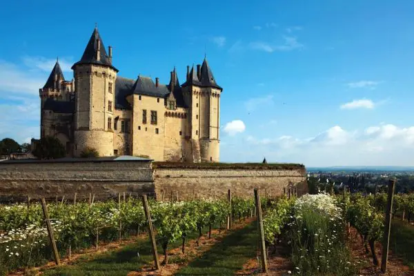 vignoble france