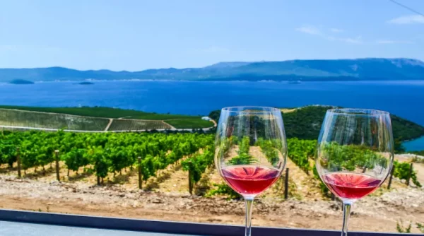 Alcool croatie vin